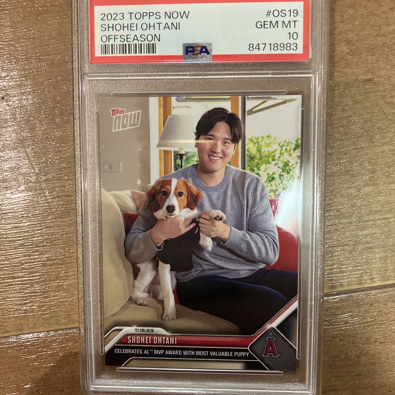 Shohei Otani topsnow