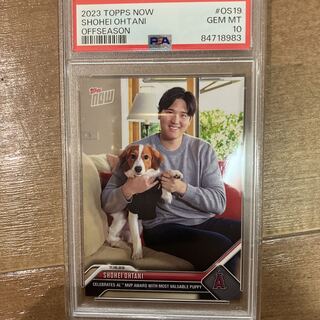 Shohei Otani topsnow