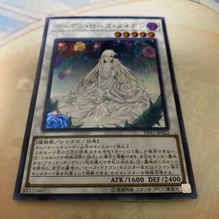 ガーデン・ローズ・メイデン UR