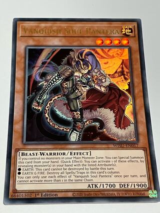 VS Pantera English Edition EU Edition