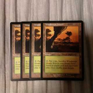 吹きさらしの荒野　４枚