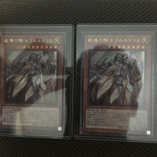 教導の騎士フルルドリス SE