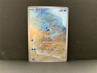 Squirtle AR 170/165