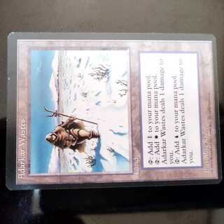Adarkar Wastes 1枚