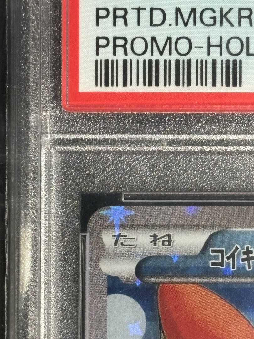 PSA10] Magikarp Gokko Pikachu PROMO 150/XY-P