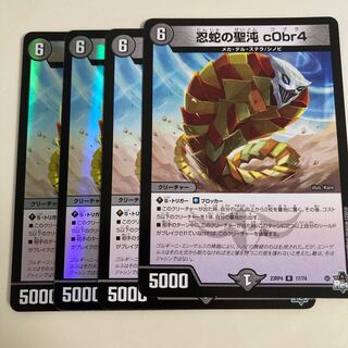 忍蛇の聖沌 c0br4