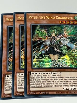Wynn the Wind Channeler English EU edition 3 copies