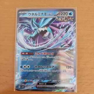 Unel minamo ex RR 024/071