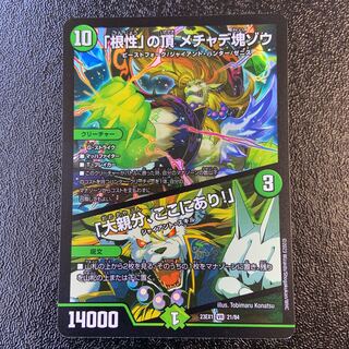 「根性」の頂 メチャデ塊ゾウ