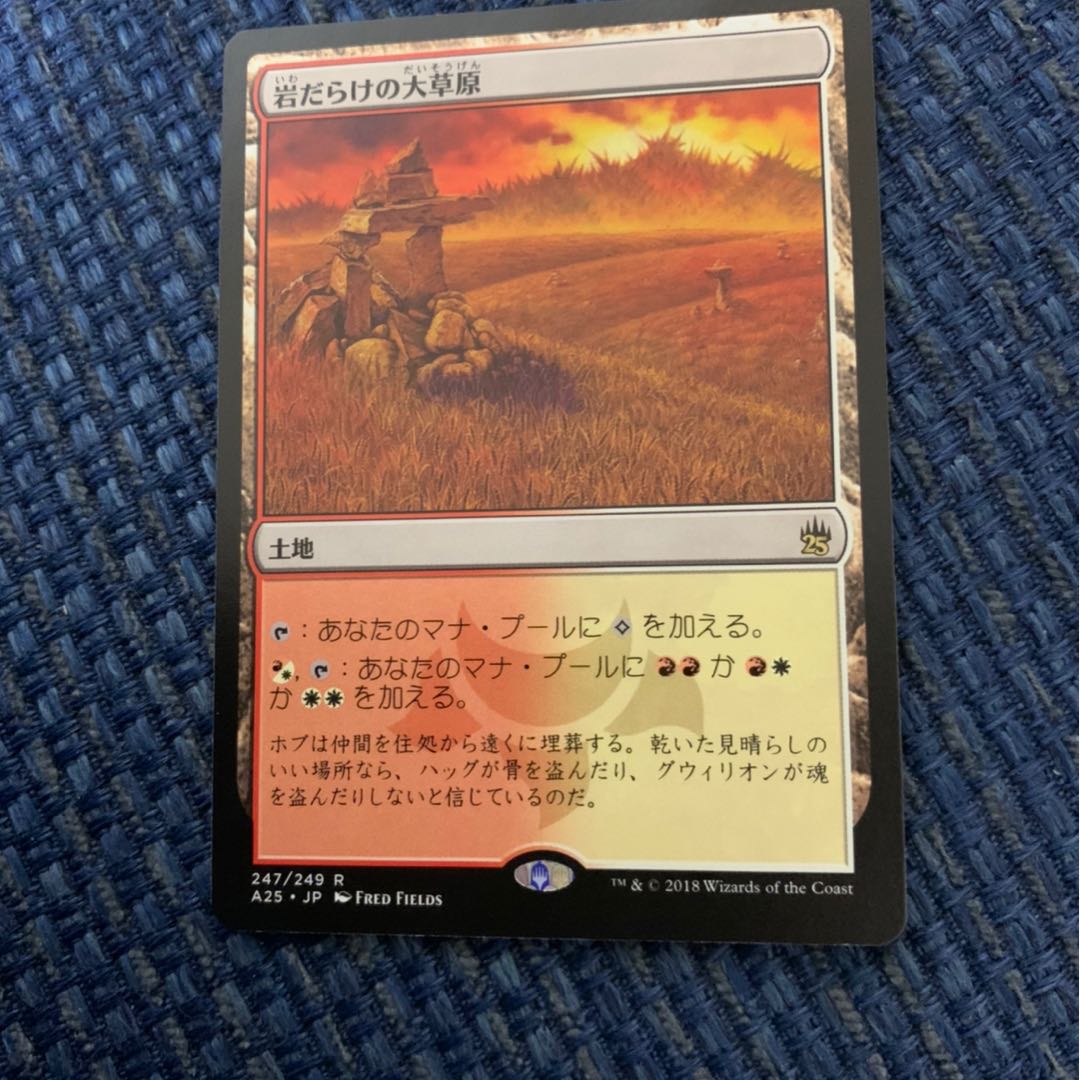 岩だらけの大草原