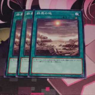 終焉の地 ノーマル 3枚