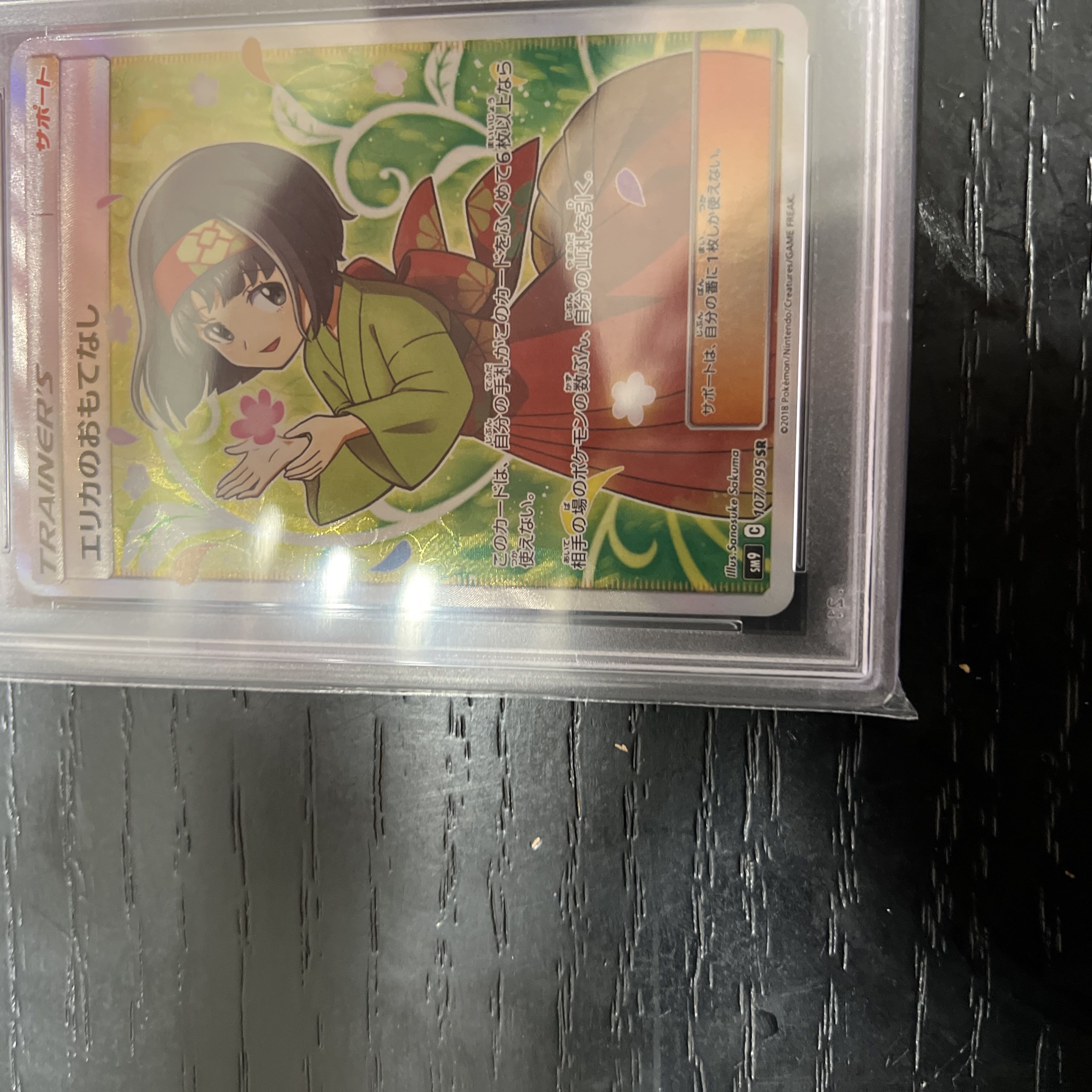 [PSA10] Erika's Hospitality SR 107/095