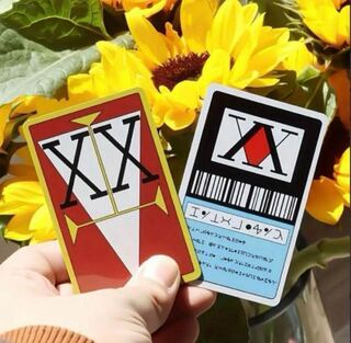 Hunter Hunter HunterxHunter License Card One Star Two Stars