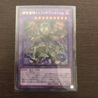 捕食植物トリフィオヴェルトゥム UR