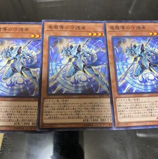 竜魔導の守護者 N