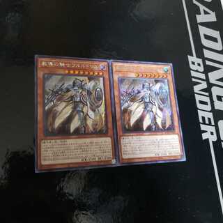 【シク2枚組】教導の騎士フルルドリス