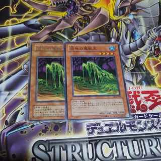 特価品 沼地の魔獣王