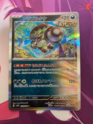 アラブルタケ R 053/066