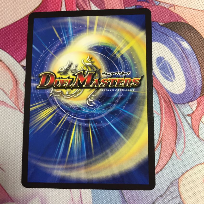 さかい様専用 1枚