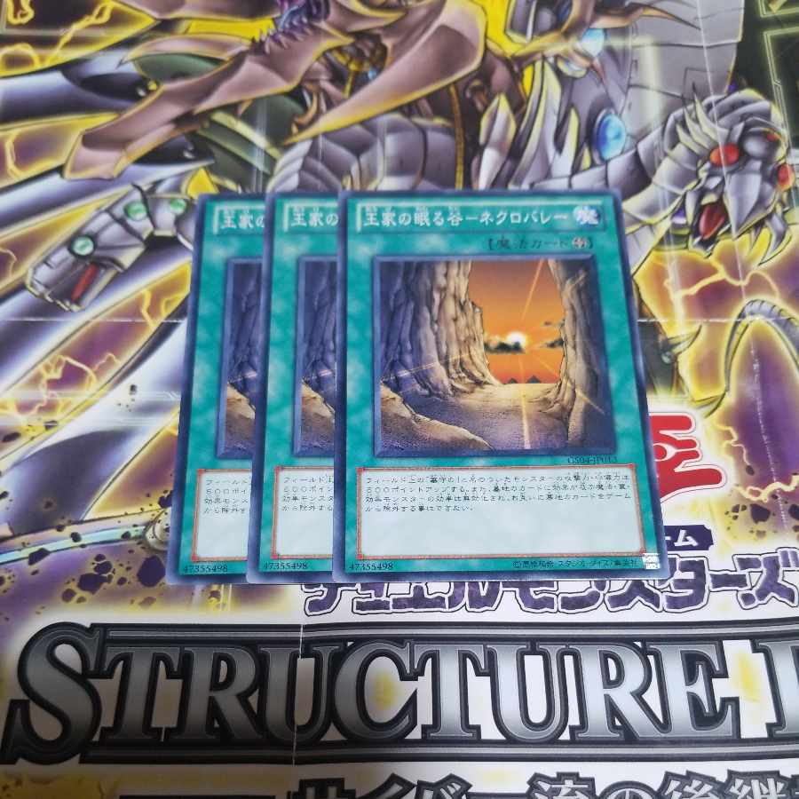 Valley of Sleep of Kings - Necro Valley Normal JP013