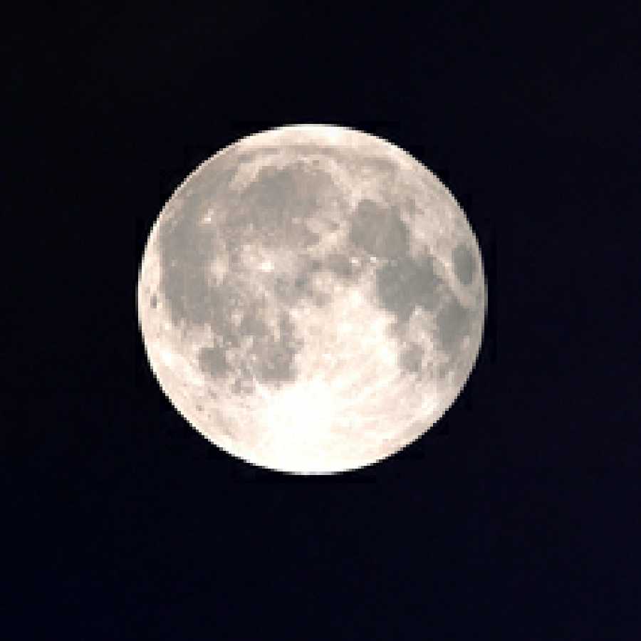 ゼラオラ様専用