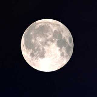 ゼラオラ様専用