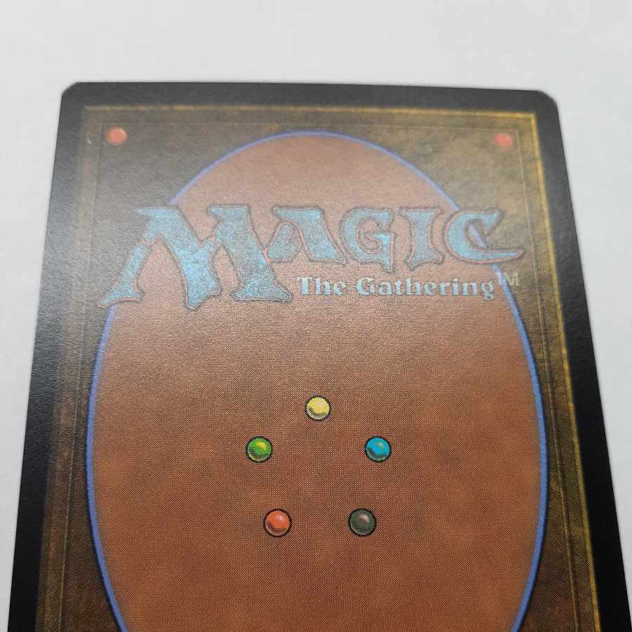 What Endures, Mother Sacred Tree English Extended