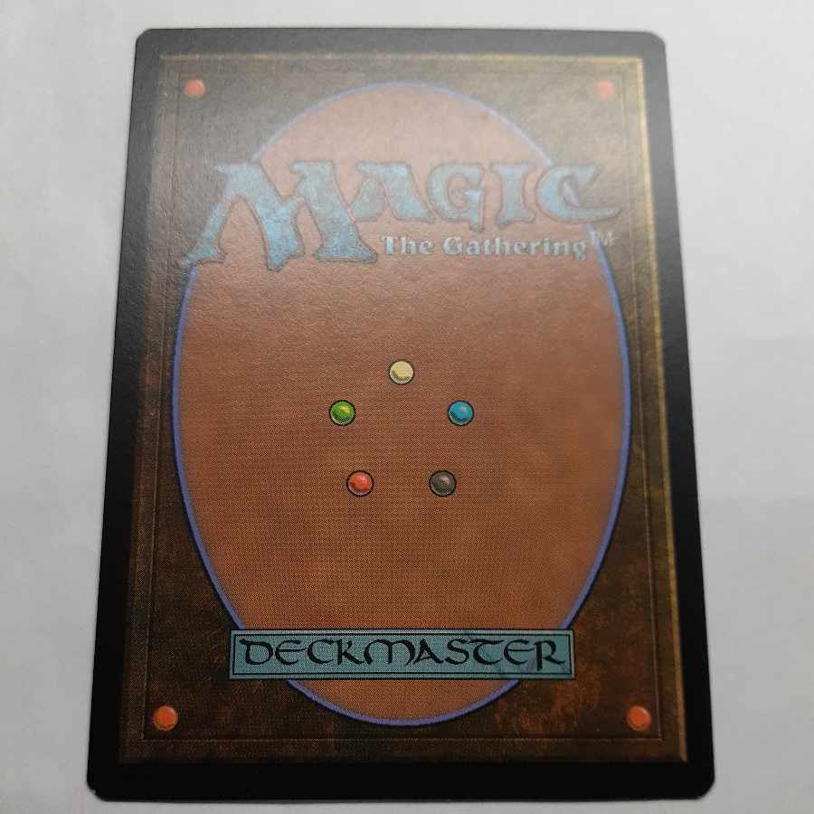 Deflecting Swat Fierce Guardianship Set of 2 English