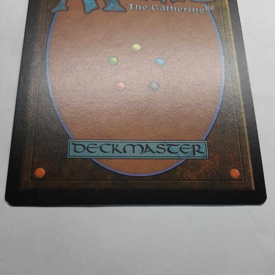 Deflecting Swat Fierce Guardianship Set of 2 English