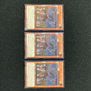 Punishment Dragon Ultimate Rare JP028 Set of 3