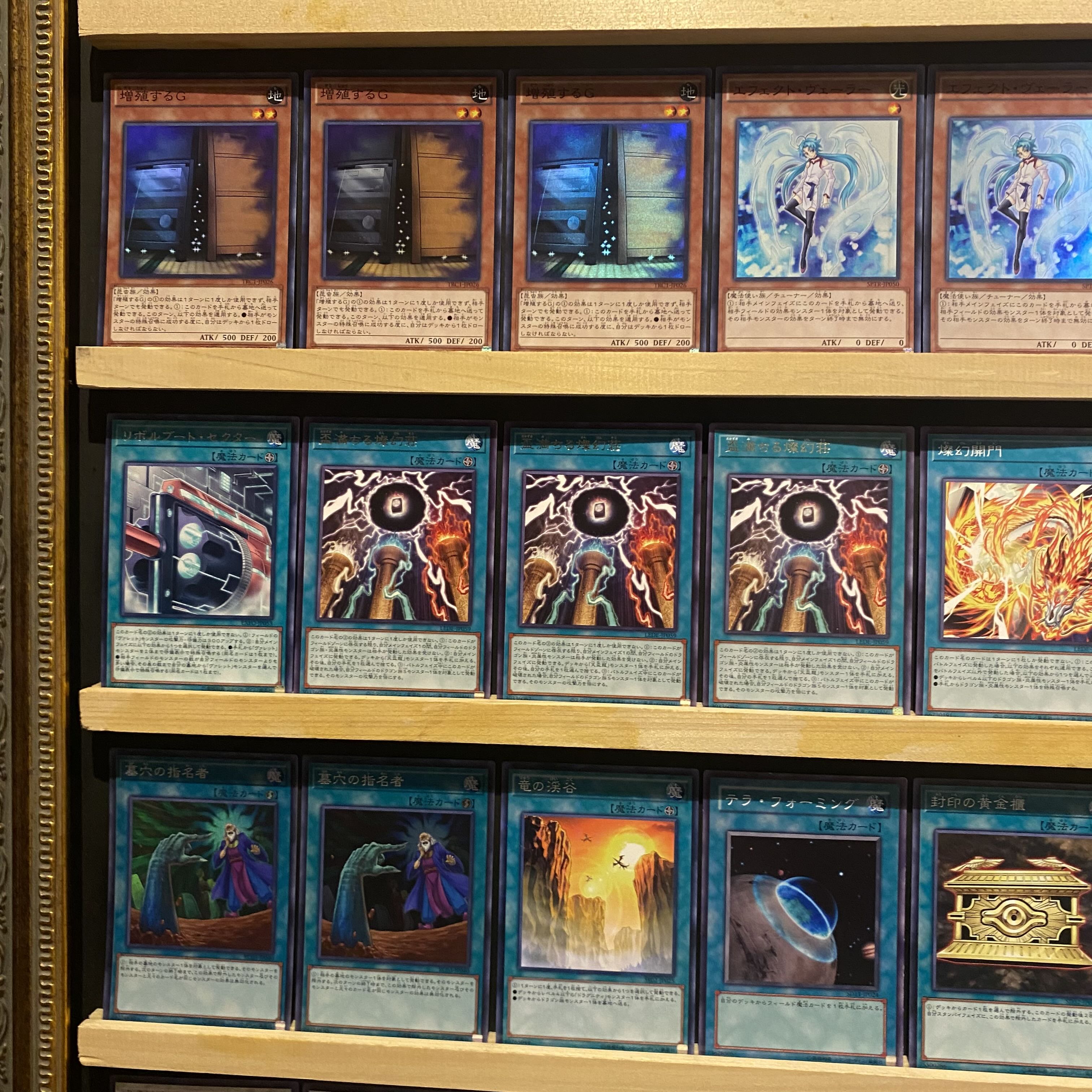 Ships immediately! For Tournament [Tenpai Ryu] Deck Yu-Gi-Oh Tsuan Gen Ascending Dragon Bi-Cilan Dragion Tsuan Gen Psychic Dragon Transcend Dragion Trident Dragion Tenpai Ryu Paidra Gekka Ryu Black Rose Valeriend Dragon