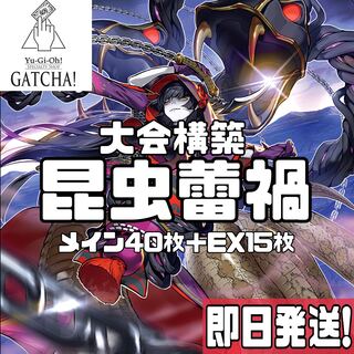 即日発送！大会用【騎甲虫蕾禍】デッキ　遊戯王　蕾禍ノ武者髑髏　 蕾禍ノ御拝神主　蕾禍ノ鎖蛇巳　蕾禍ノ大王鬼牙　大騎甲虫インヴィシブル・アトラス　騎甲虫アームド・ホーン　甲虫装機ピコファレーナ　 S:Pリトルナイト
