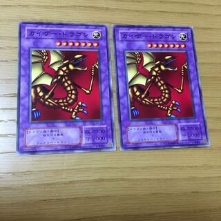 デスカイザー・ドラゴン N 2点セット