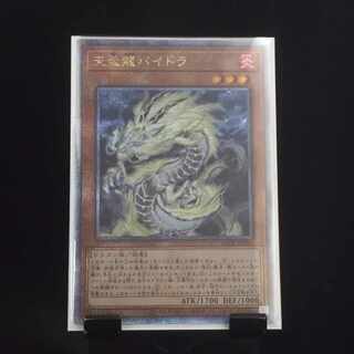 【遊戯王】天盃龍パイドラ 25th クオシク 1枚