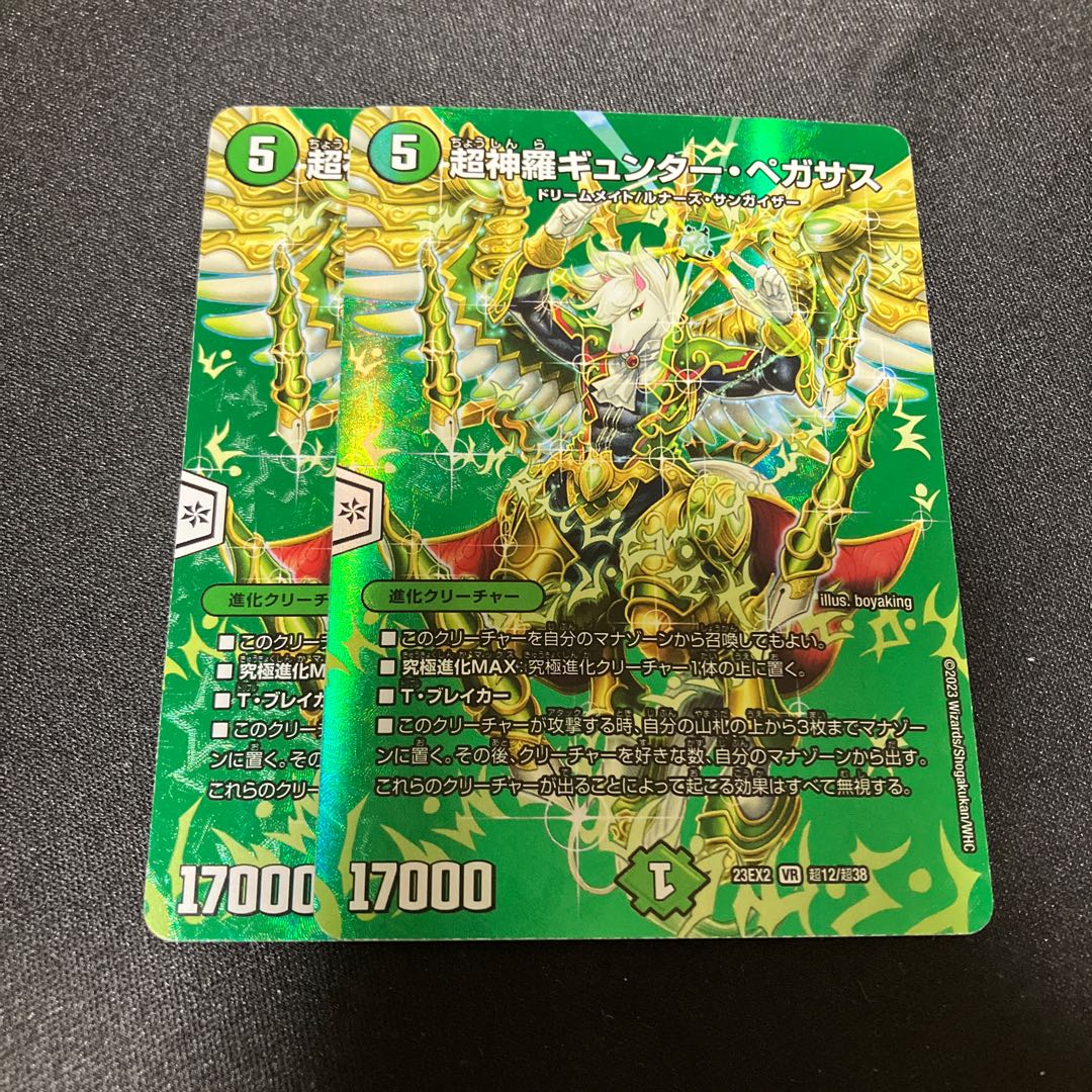 Psychic Shinra Günther, Pegasus VR Psychic12/Psychic38