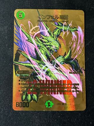 Infel Ryuki (species of dragonfly, Anguilla infelica)