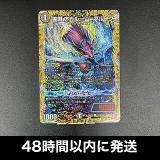 Reibuchi Agalume-Proof (Secret Rare Spec.) SE (Secret)19/(Secret)21