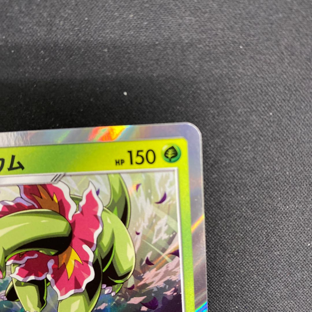 Meganium R 005/095