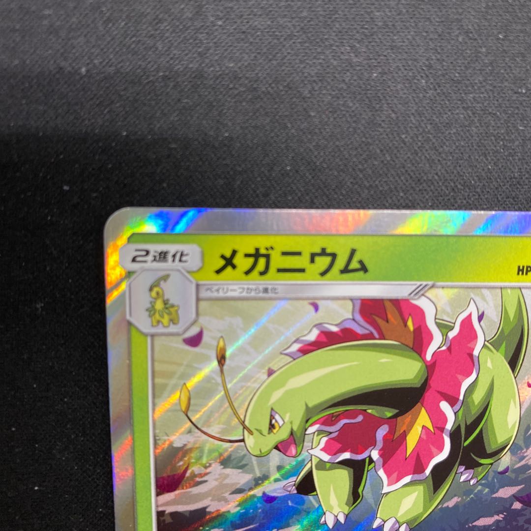 Meganium R 005/095