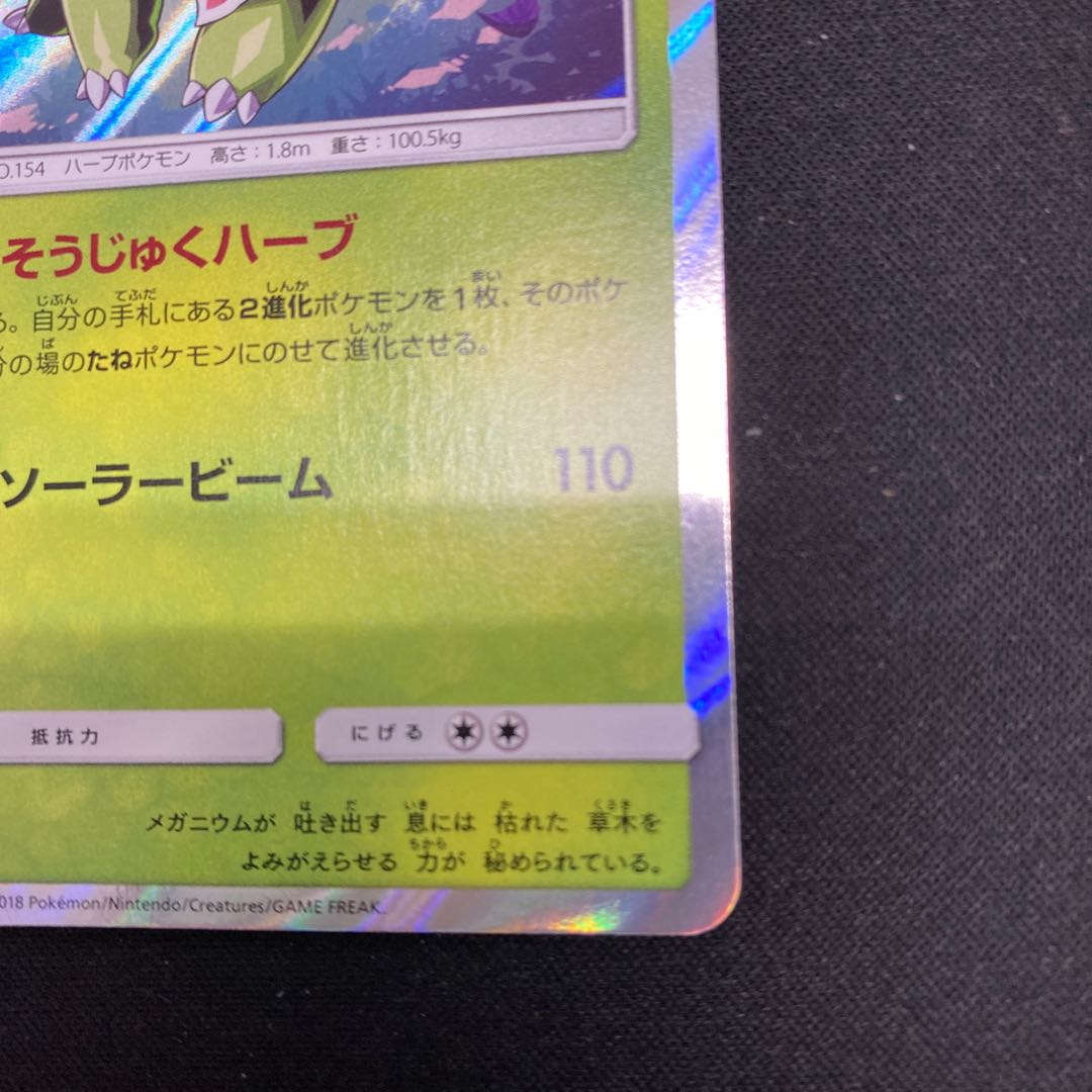 Meganium R 005/095