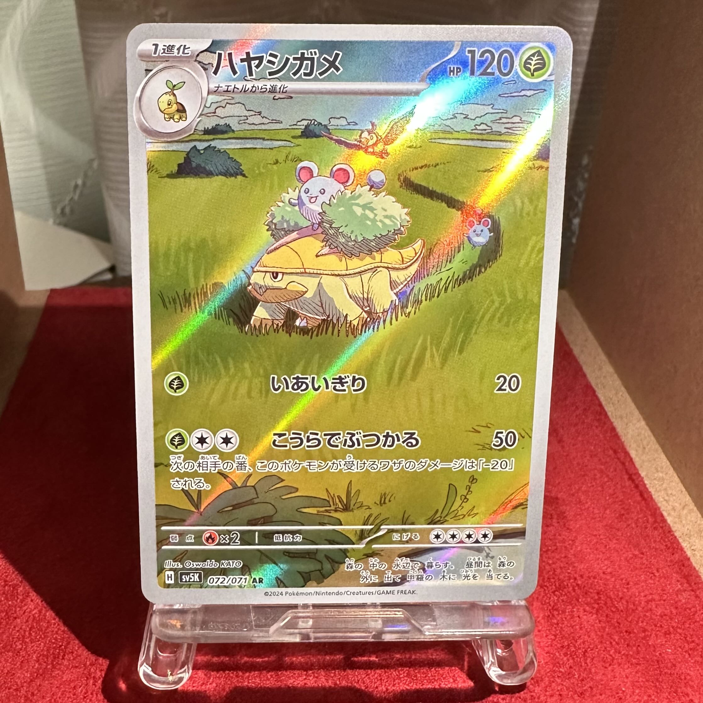 Pokemon Card [Grotle] AR