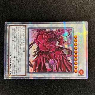 ブラッド・ローズ・ドラゴン プリズマティックシークレットレア JP035 1枚