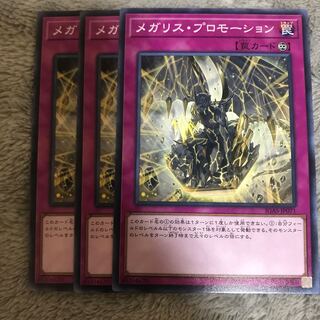 マドレース メガリス・プロモーション