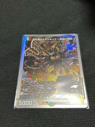 切札勝太&カツキング -熱血の物語- DSR 1/14