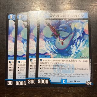 愛されし者 イルカイル U 39/93