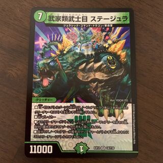 Samurai family Samurai order Stejura, VR 14/110.