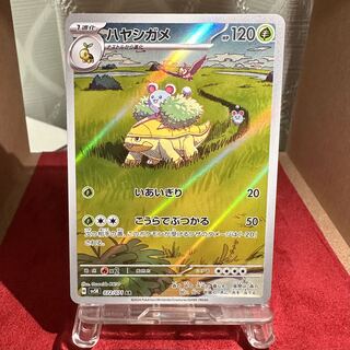 Pokémon Card [Grotle] AR exclusively for miyosshii
