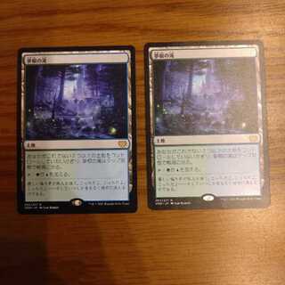 夢根の滝 レア 262/277 2枚セット 2枚