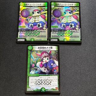 Awakening Rosa, special grade Chew Si Chao Han.