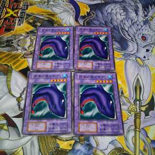 深海に潜むサメ